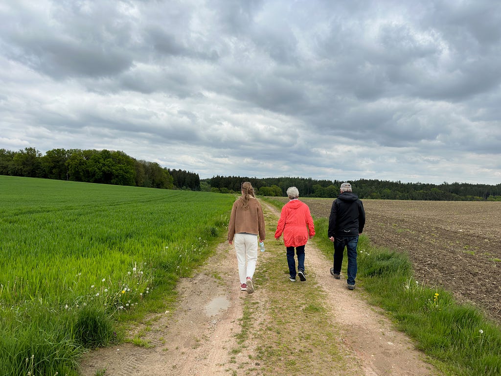 three people walking on a path next to a field of grass and the forest in the distant background