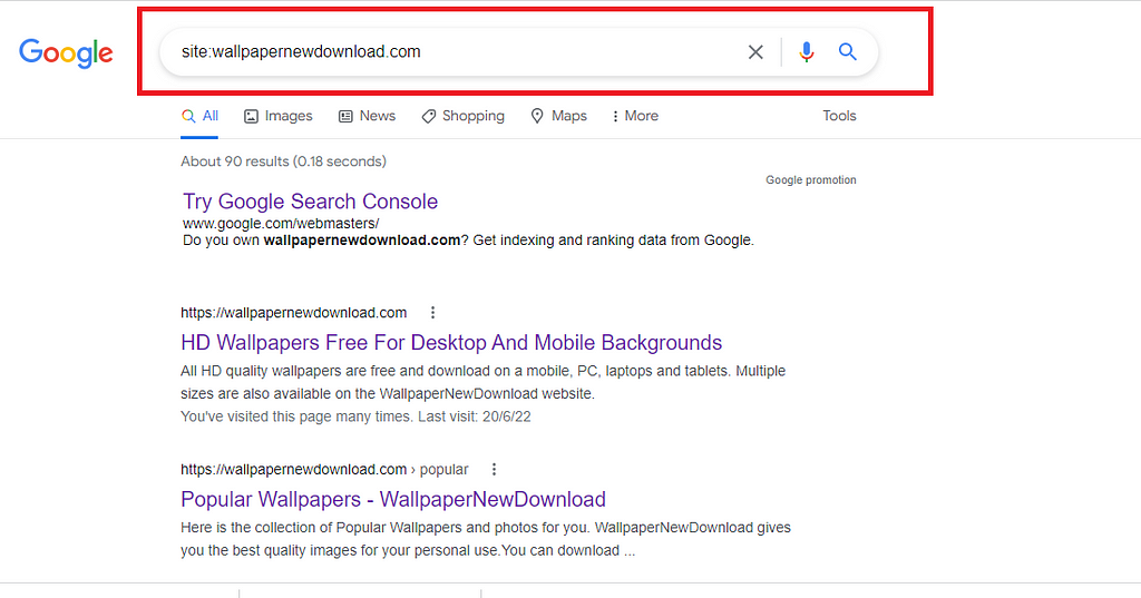 Check Your URLs in Google Search Result