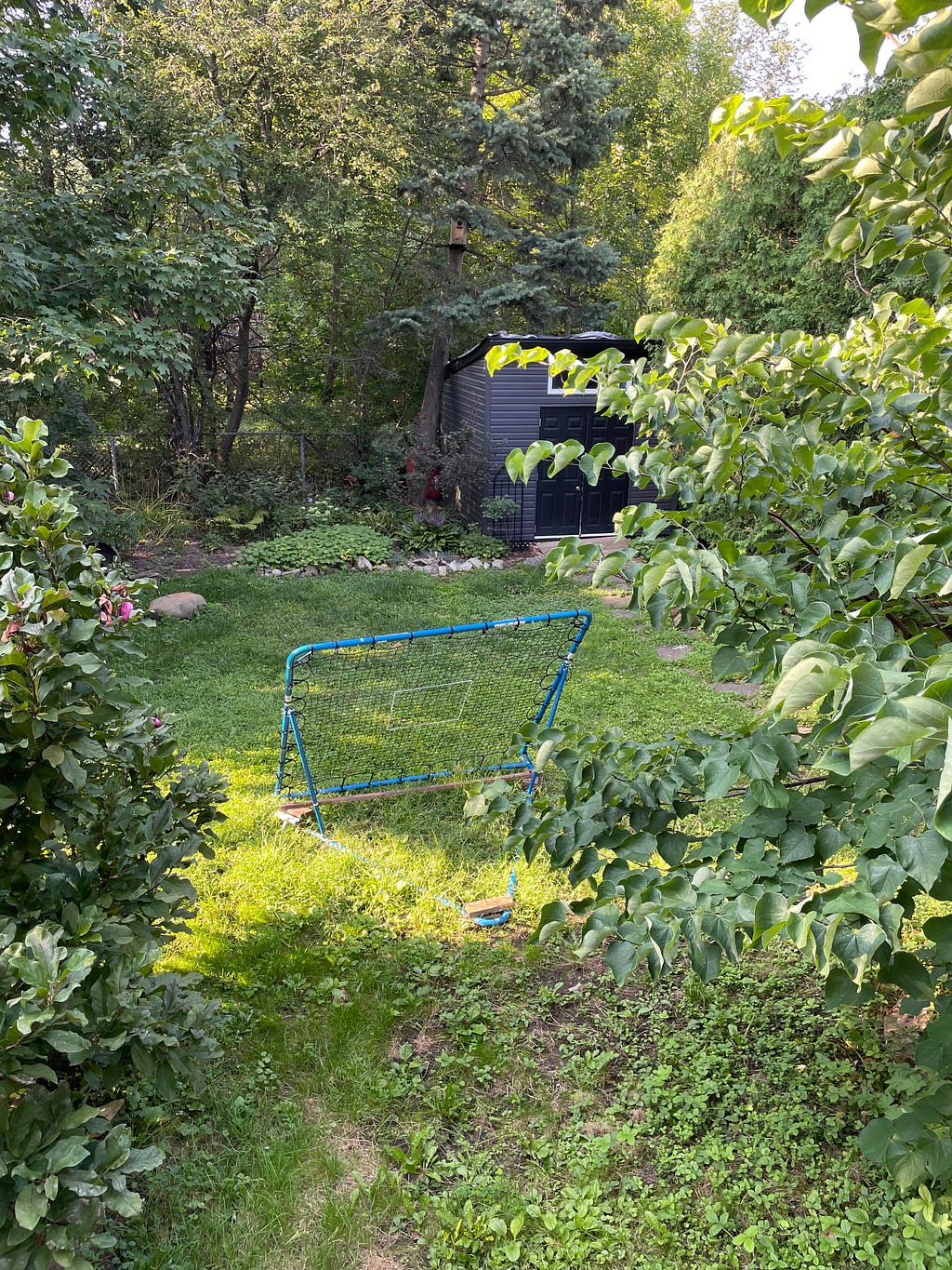 Our backyard in transition between stages