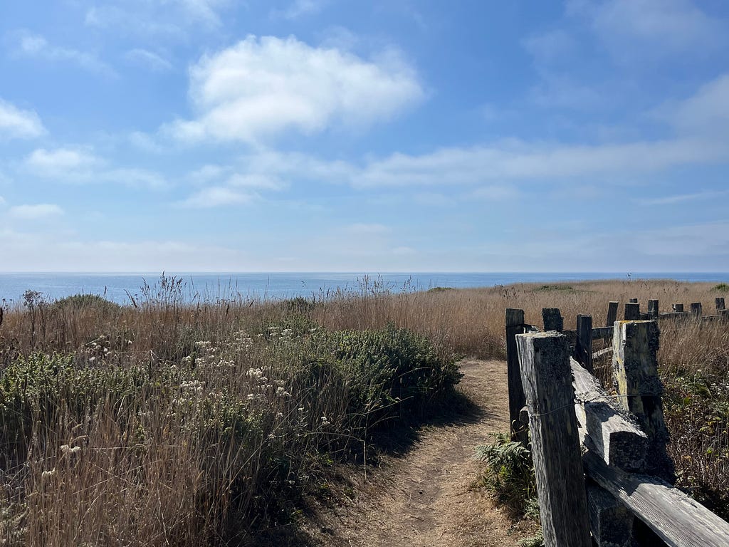 An old fence next to a winding dirt path with wildflowers overlooks the ocean in the distance and a sky with scattered fluffy clouds.