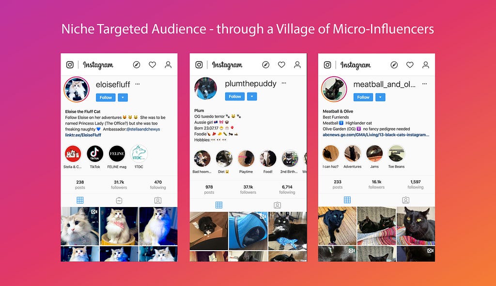 Brands can reach niche targeted audience through a village of micro influencers.