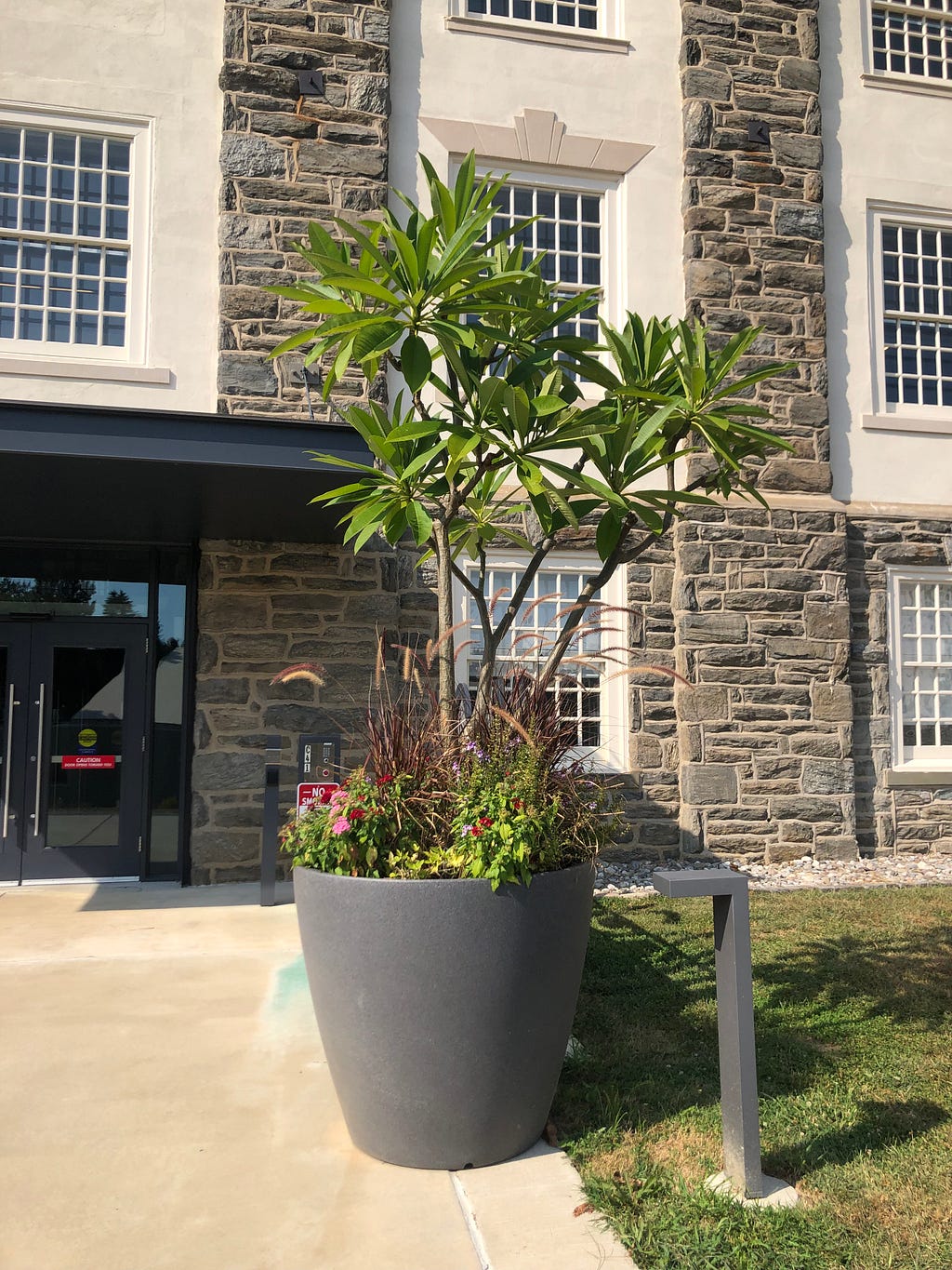 Full view of planter taken on September 19th, 2019.