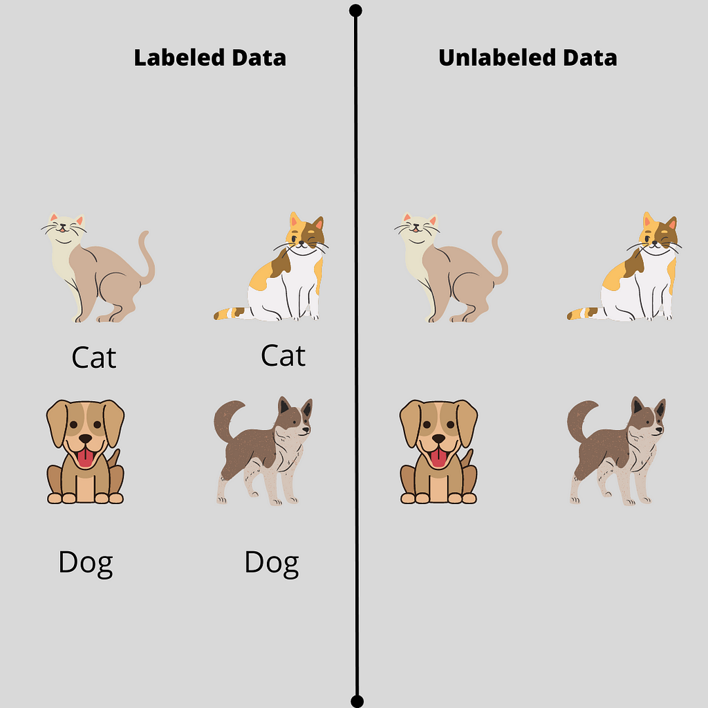 Labeled vs Unlabeled Data