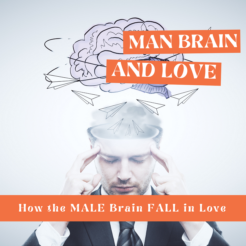 How the MALE Brain FALL in Love