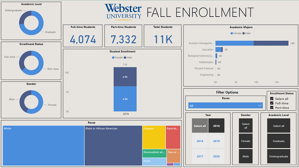 Link to The Interactive Power BI Report