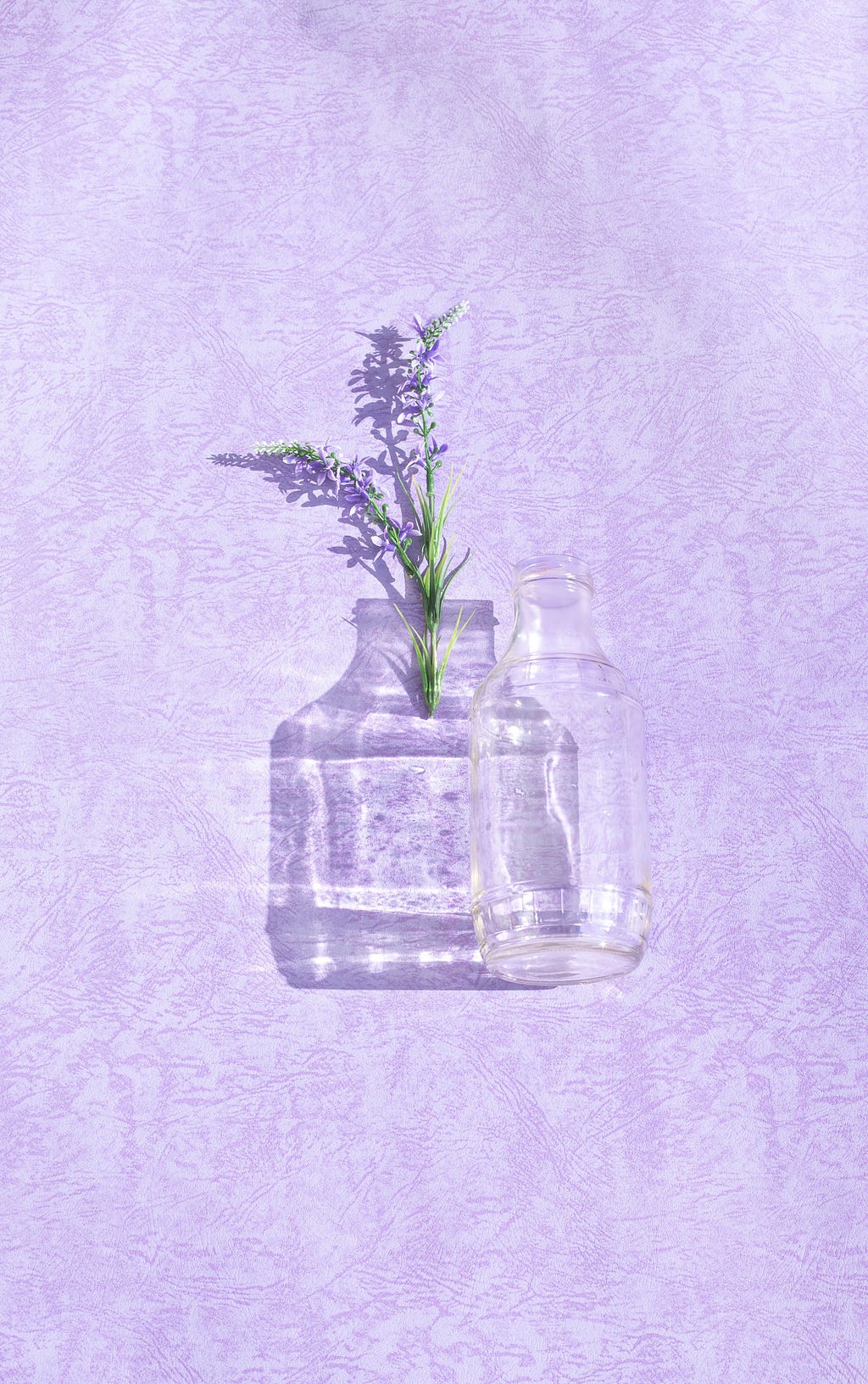 Fundo lilás com um vaso de vidro transparente ao lado direito e uma flor de lavanda do lado esquerdo se encaixando na sombra do vase.