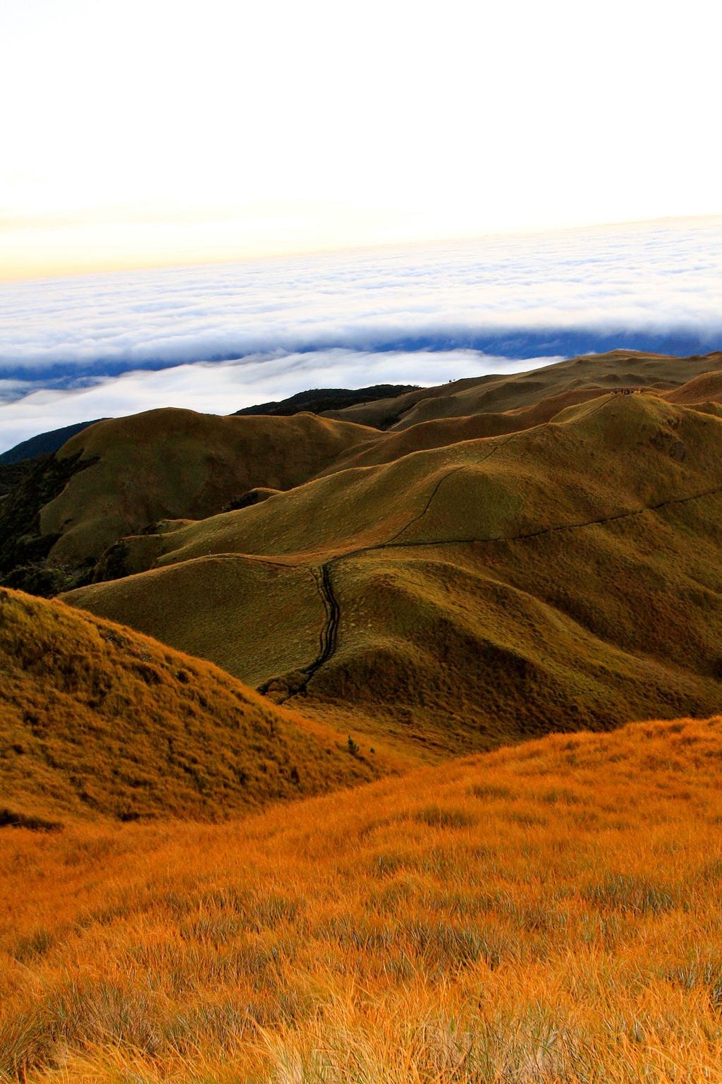 Mt. Pulag, the second-highest mountain in Philippines, original image by Melissa Schmidiger