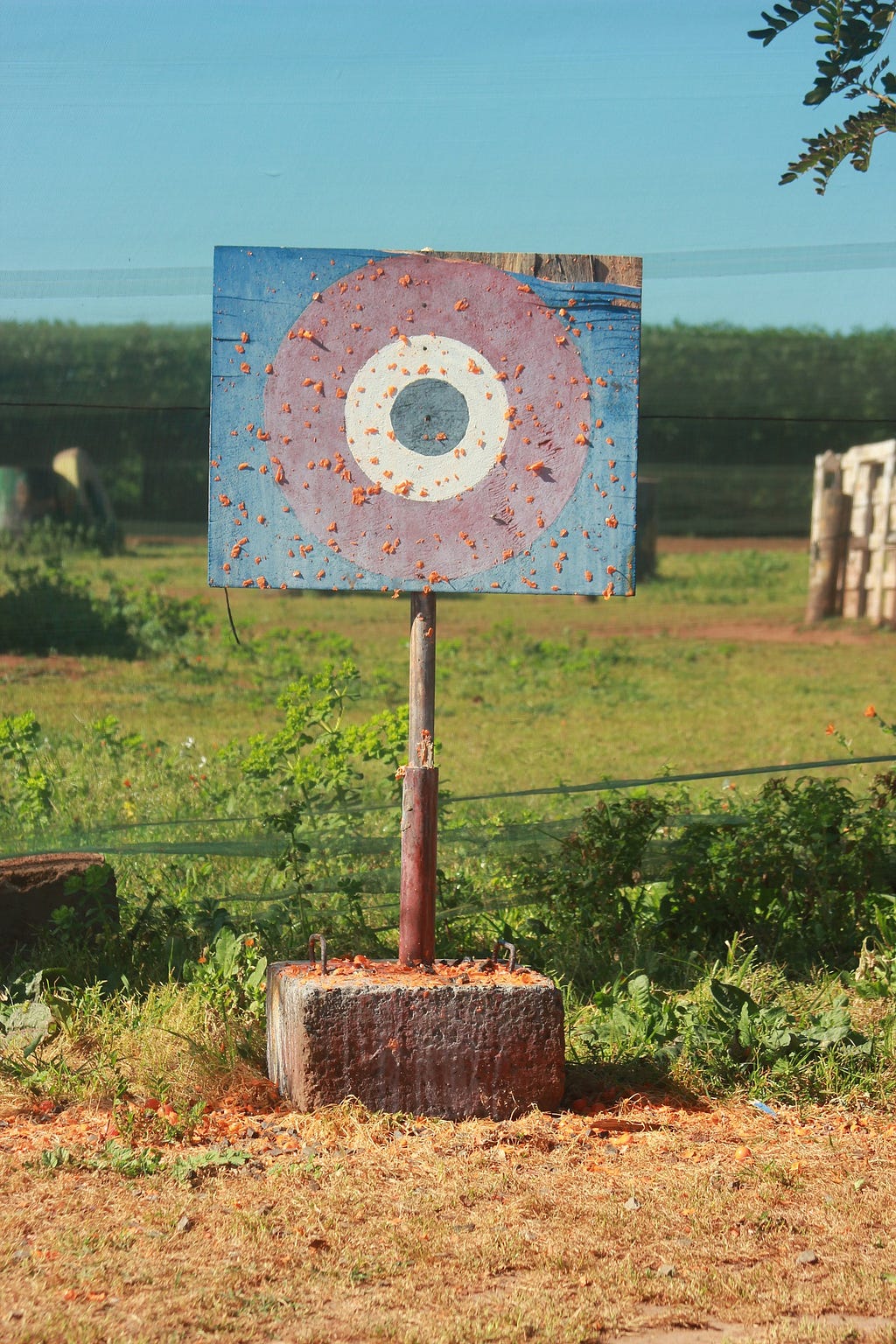 A target (representing an objective) standing in a field