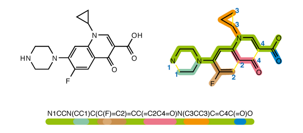Chemical structure of the molecule ciproflaxin with its SMILES string underneath “N1CCN(CC1)C(C(F)=C2)=CC(=C2C4=O)N(C3CC3)C=C4C(=O)O”. The branching structure of the molecule is color coded in both the structure image and the SMILES.