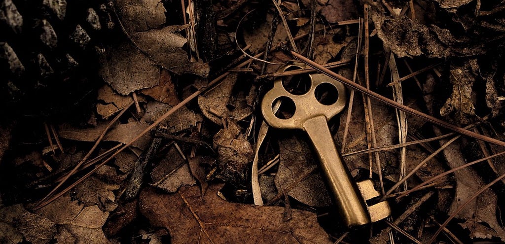 Old key on dead leaves