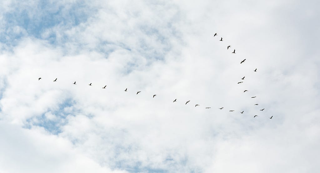 Migrating birds in formation, crossing a partly clouded sky