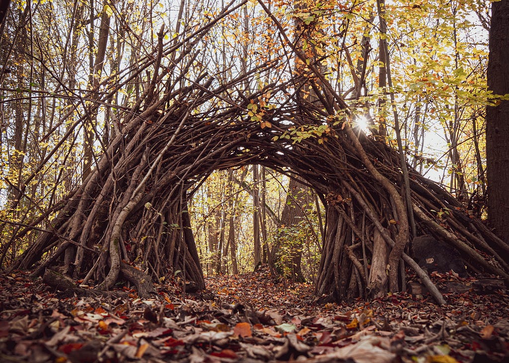 branches piled together to form in an arch in an autumnal wood setting. Leaves are on the floor, a little bit of light is catching the few leaves on the trees turning them gold.