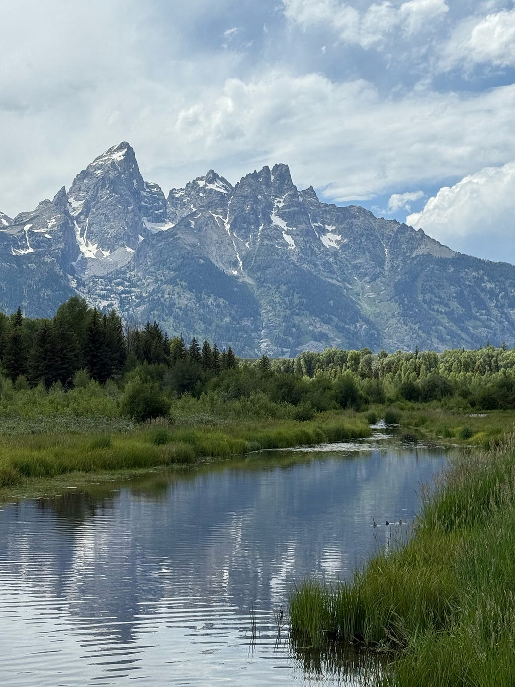 The Relationship Ripple — How Choices Affect Personal and Work Paths