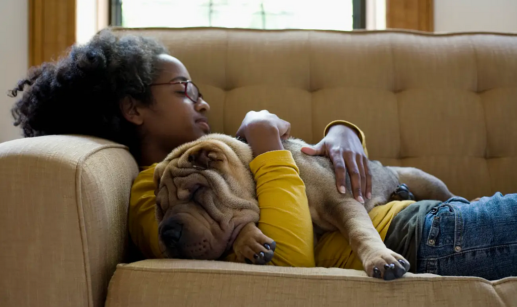 A woman hugs a dog on a couch.