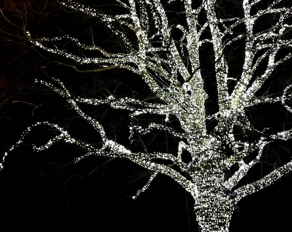 A tree covered in small decorative lights against the night sky.