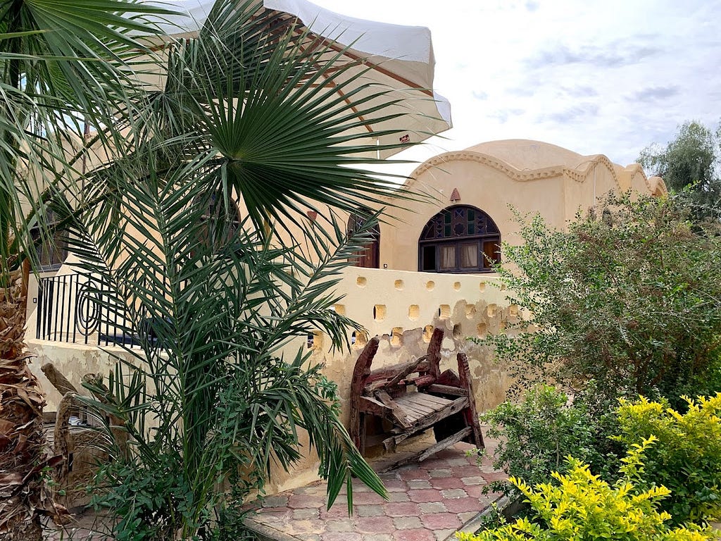 A domed house sits among palm trees in a village