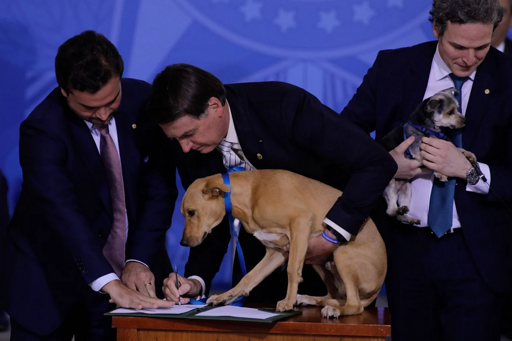 Bolsonaro e assessores segurando cachorros, enquanto assinam a Lei Sansão que prevê aumento da pena para maus-tratos a animais