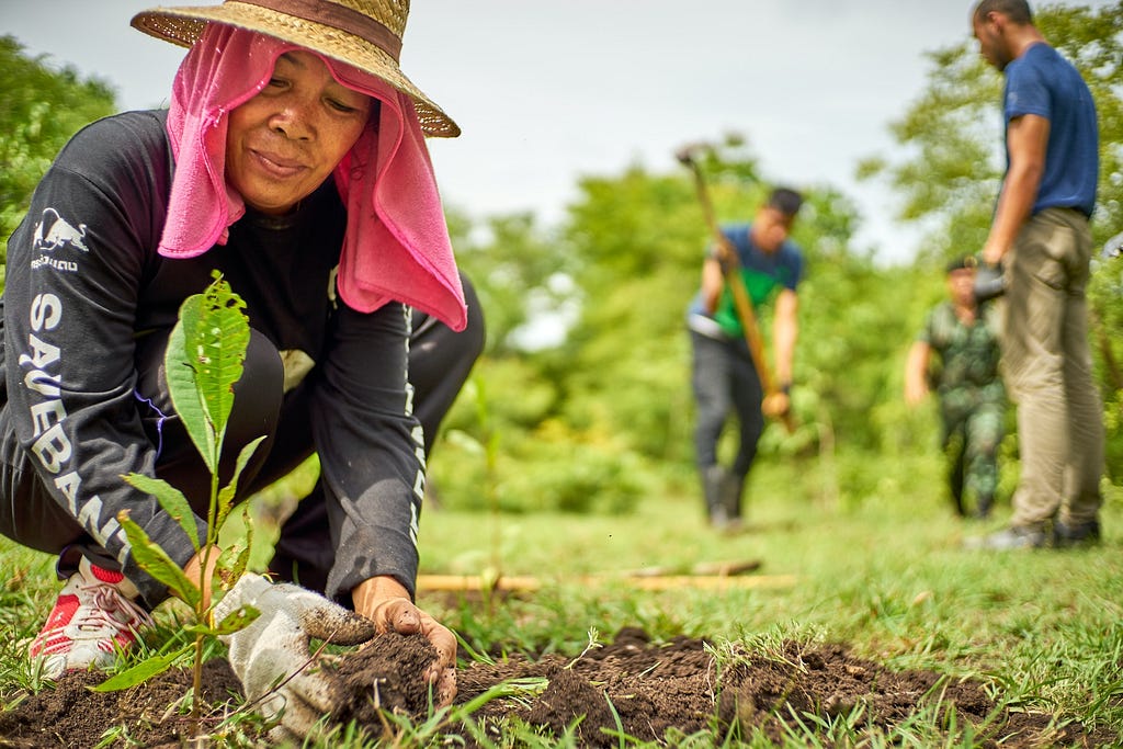A person kneeling to plant a sapling. They are smiling and their head is covered with material and a hat. There are three people in the background digging into the ground. Small trees line the background.