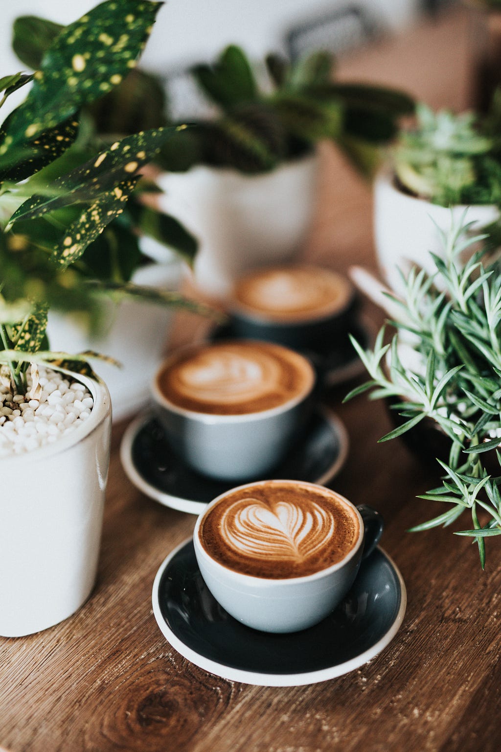 Several cups of coffee with a heart in them, surrounded by plants on a table.