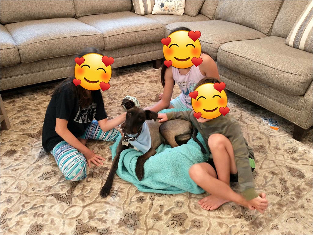 Three children, faces obscured by emojis, with small dog.