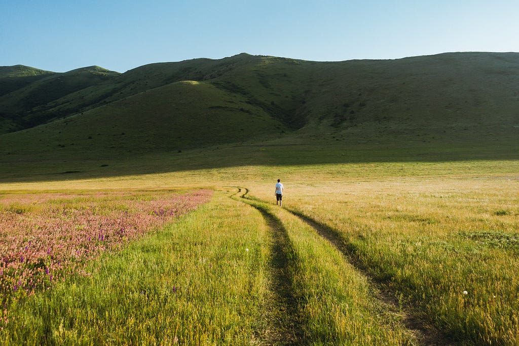 A man walking in a field near Artanish, Armenia