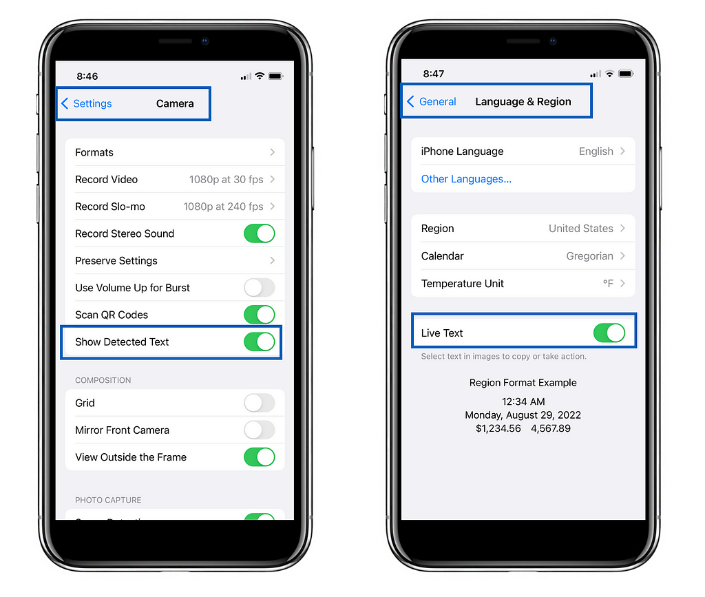 Visual representation of systems settings to enable iOS 15 Live Text.