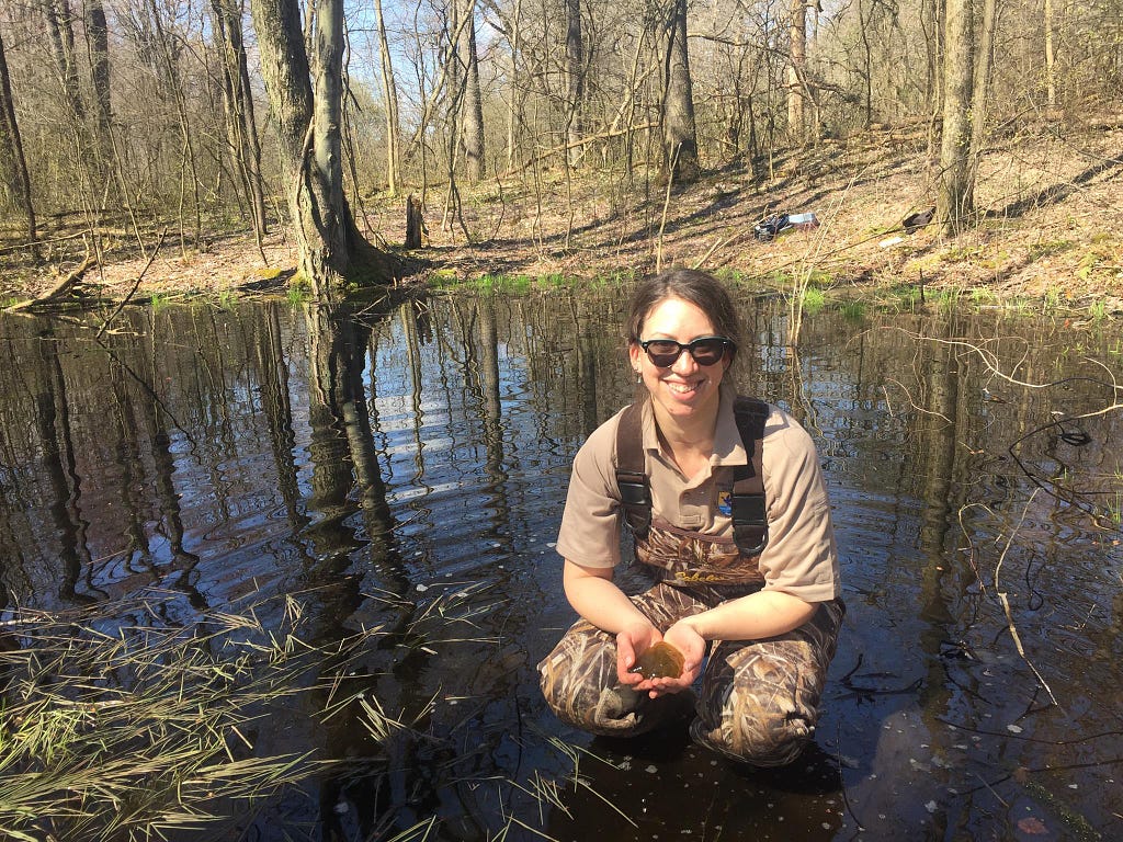 Melissa Althouse, FWS Scholar and Service Biologist, holds the egg mass of an Spotted salamander (Ambystoma maculatum) while monitoring vernal pools for spring breeding amphibians.