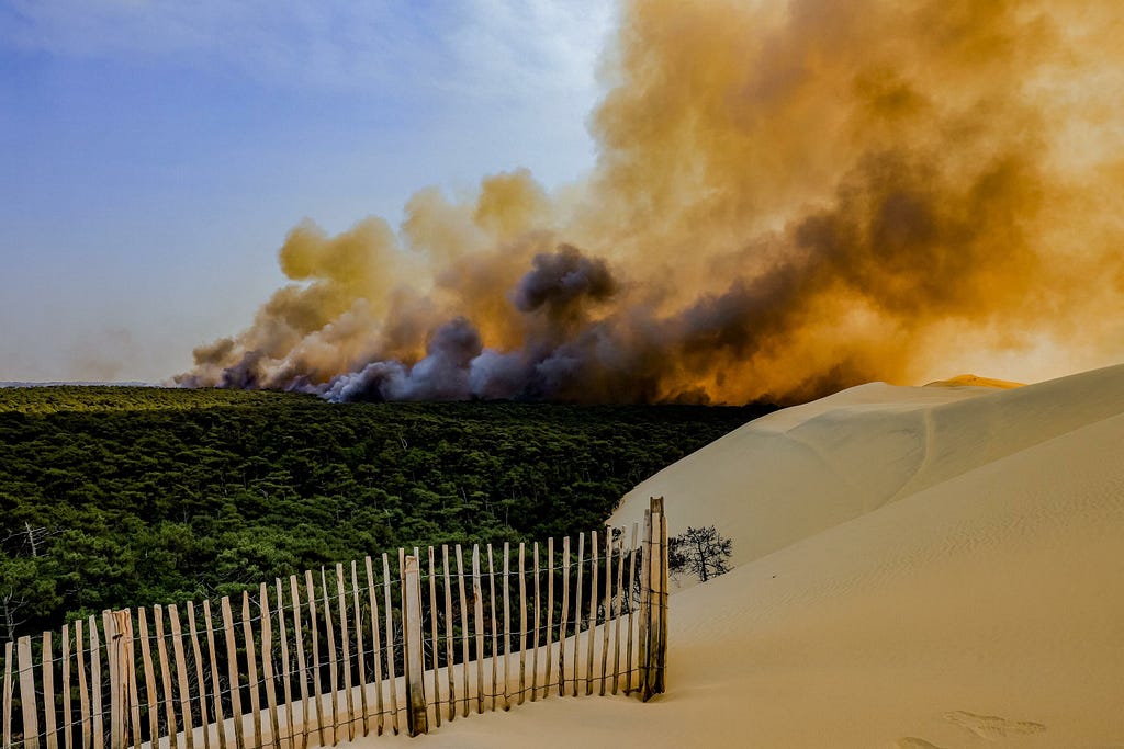 Les incendies de 2022, ici en Gironde