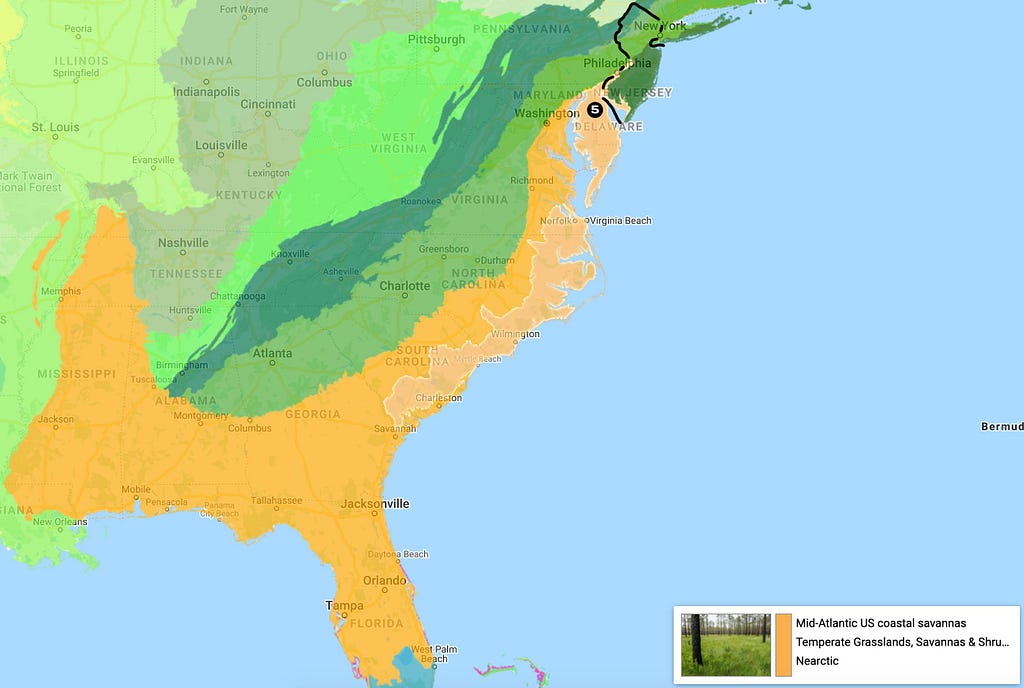 Map of Mid-Atlantic US coastal savannas and Savannas of South-East