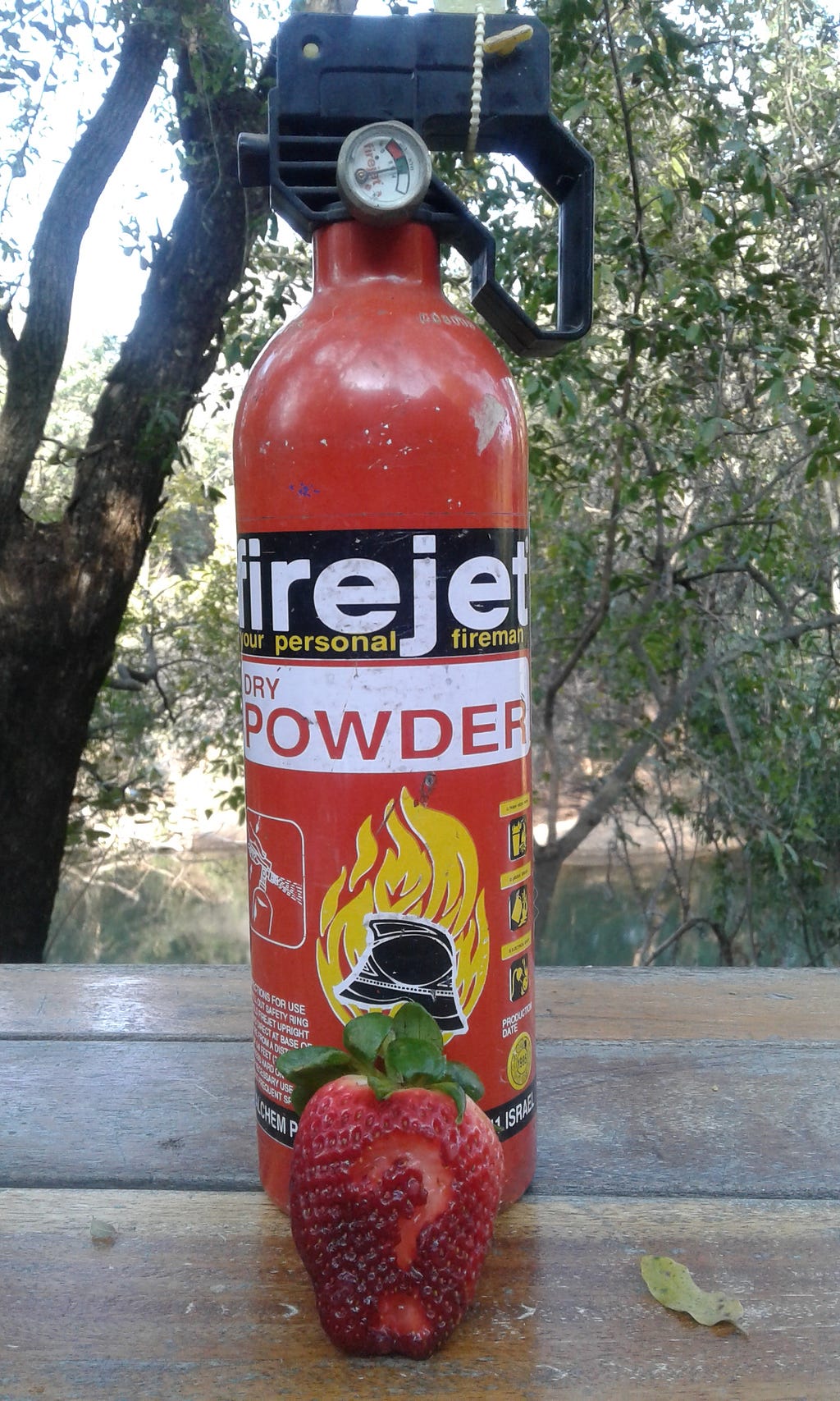 A small red fire-extinguisher and a strawberry with a carved-out question mark placed in front of it, with a river and trees in the background