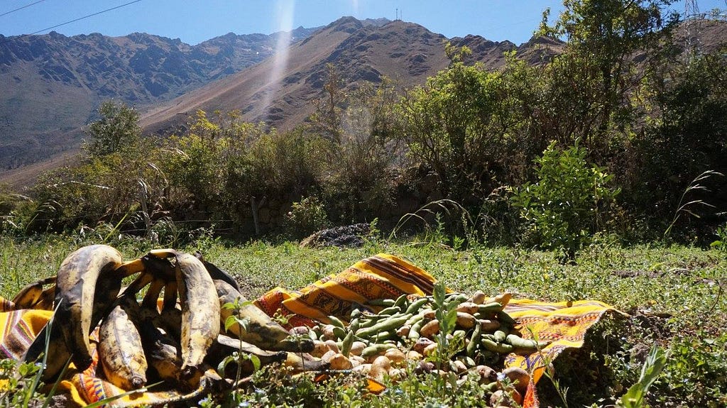 A hand of bananas and a pile of other fruits are on a piece of fabric in a grassy field. In the background is a rocky mountain rising into the blue sky.