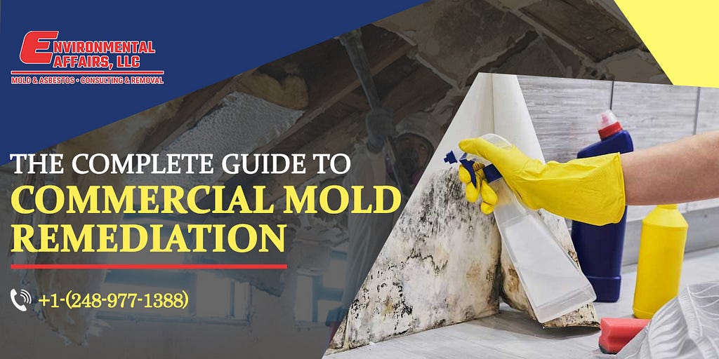 Commercial Mold Remediation