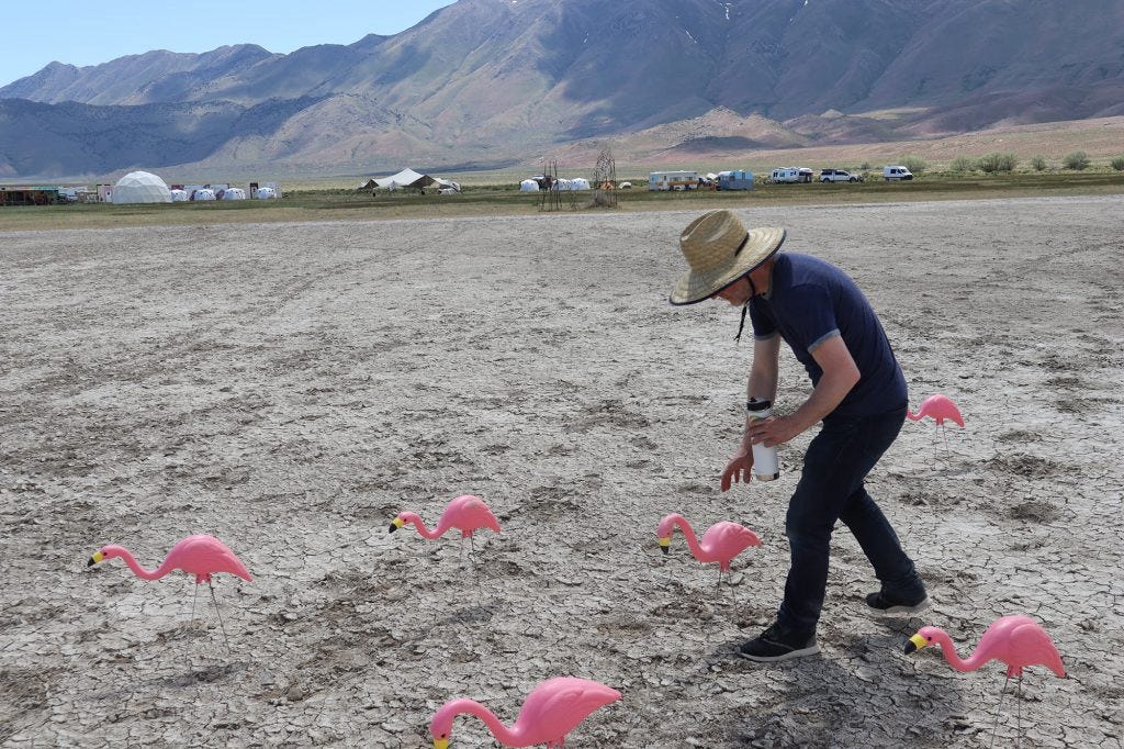 A funny man in a floppy hat pretends to feed plastic flamingos. In the background is the LAGI 2020 Fly Ranch encampment for the May 2022 build week with trailers and tents and a geodesic dome on the left. The Granite Range is in the distance.