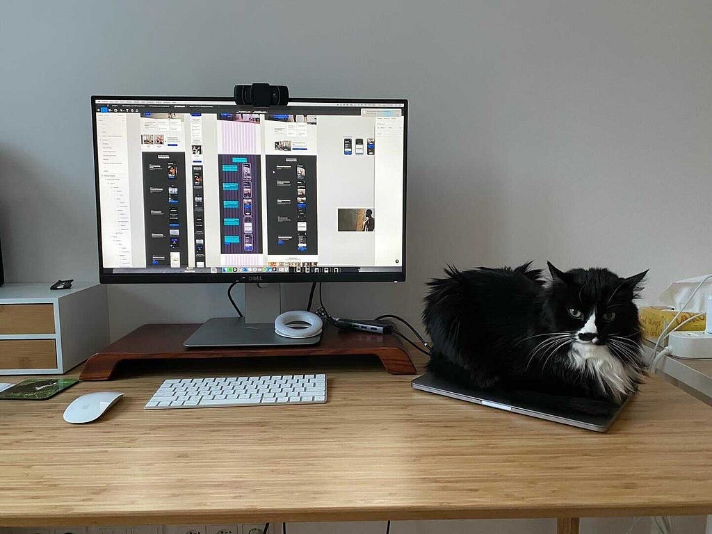 Desk with a keyboard, mouse, monitor, and laptop with a black cat sitting on top of a laptop
