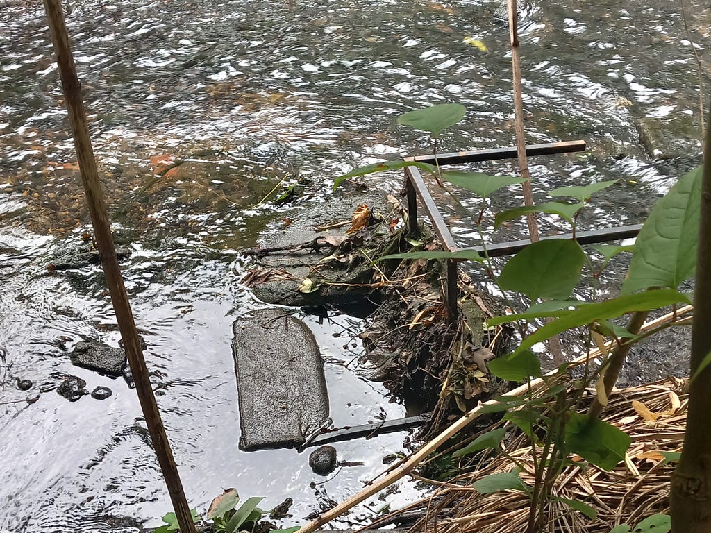 A chair on its back in a shallow river, with mud and plant debris building up behind it.