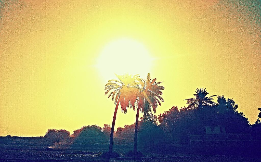 The sun glowing brightly as it is coming down during the early evening. There are two palm trees in the front and a house in the background.