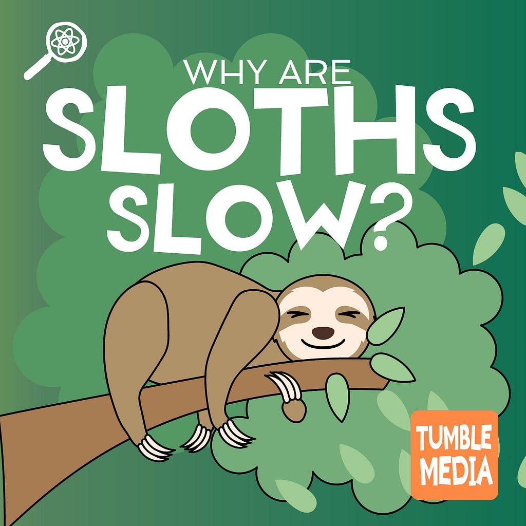 Episode art for Why Are Sloths Slow — a cartoon sloth hugs a branch in front of a tree background