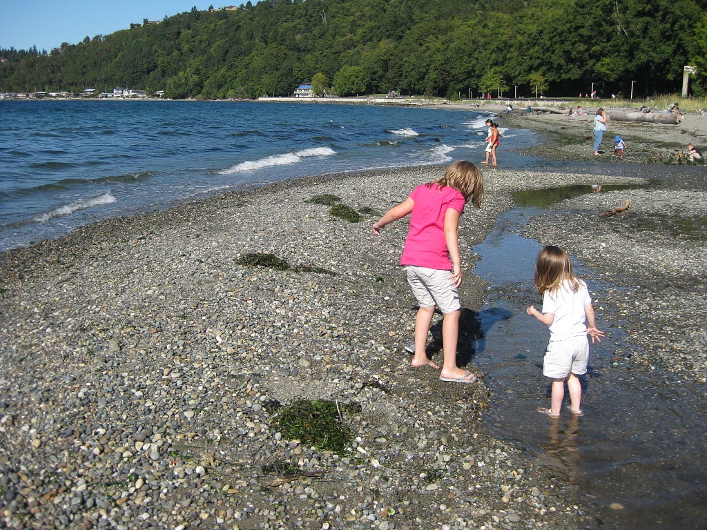 Photo of children and adults enjoying the beach at Seahurst Park in Burien, WA. Photo credit: Cheryl Hammond.