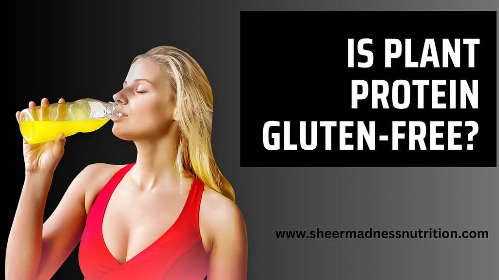 Is Plant Protein Glutenfree?