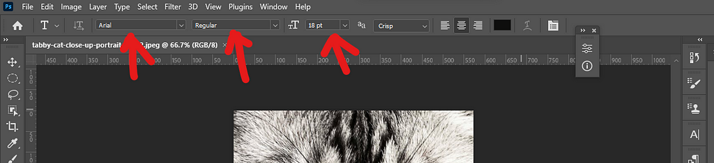 Text Option Bar in Photoshop, Photoshop Image Masking