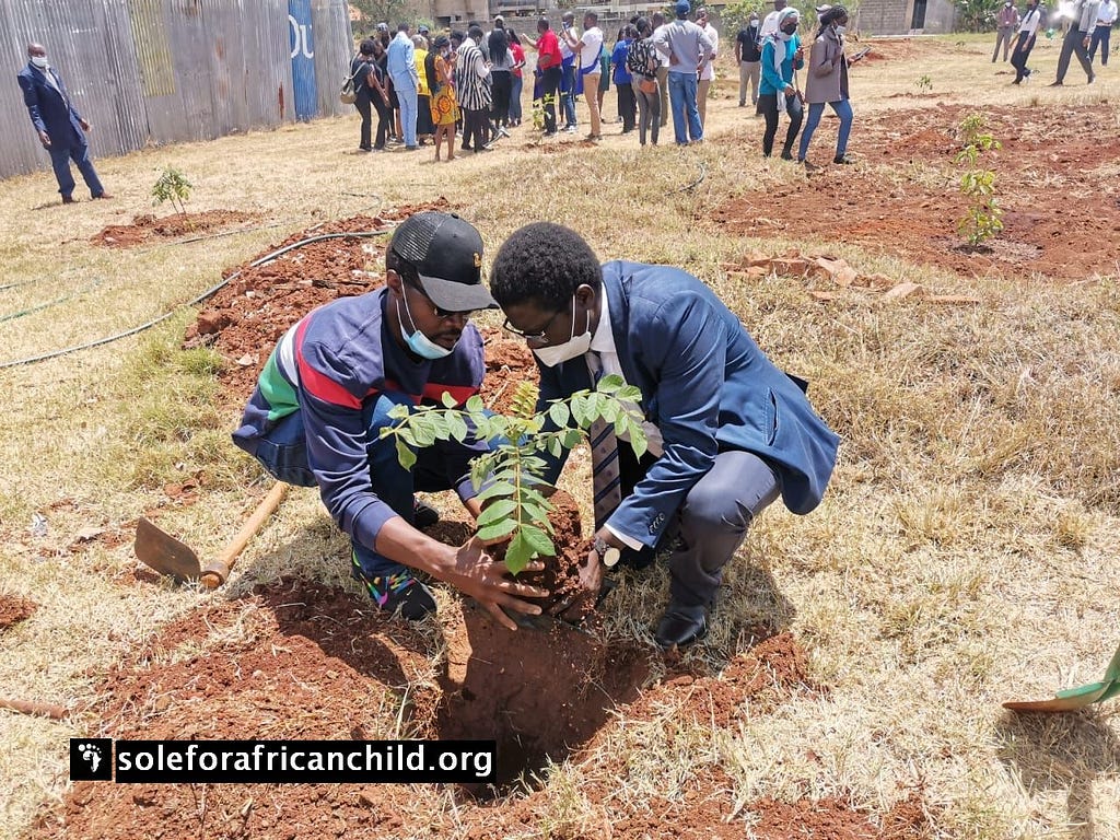 Sole for African Child founder planting trees at Riara University