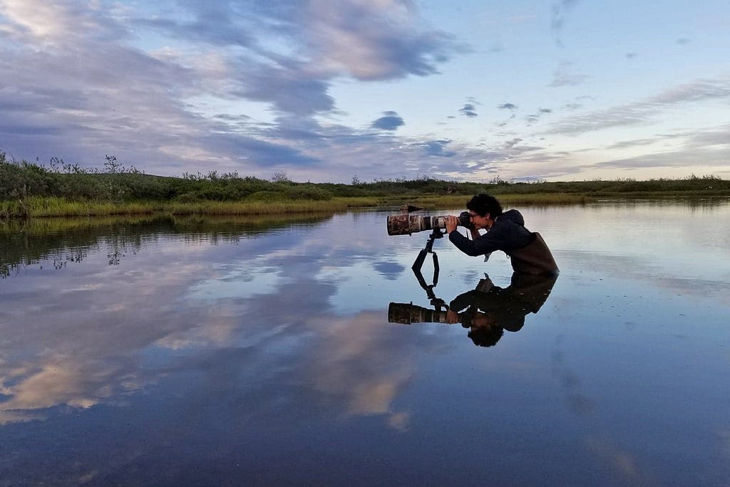 Peter getting waist deep in water to photograph waterbirds in Nome, Alaska.