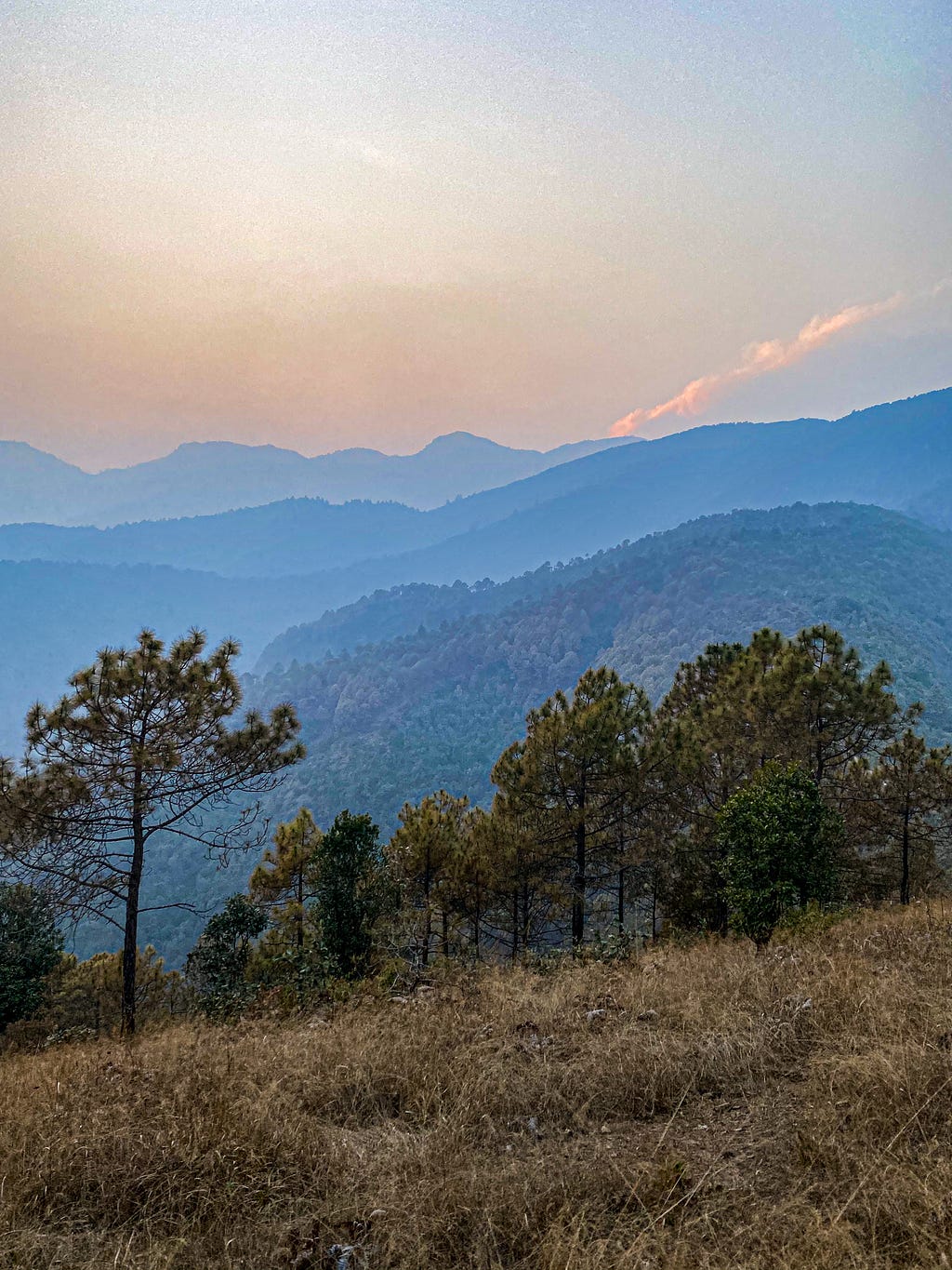 The Himalayan Foothills. Phot by Author.