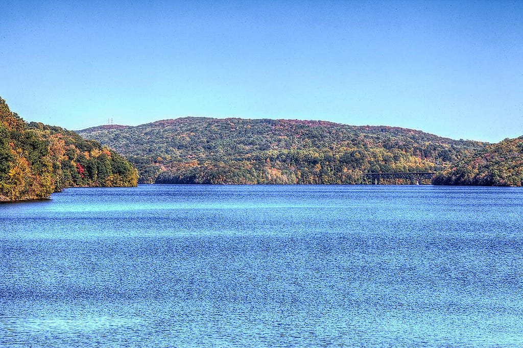 A large, calm lake surrounded by lush green trees.