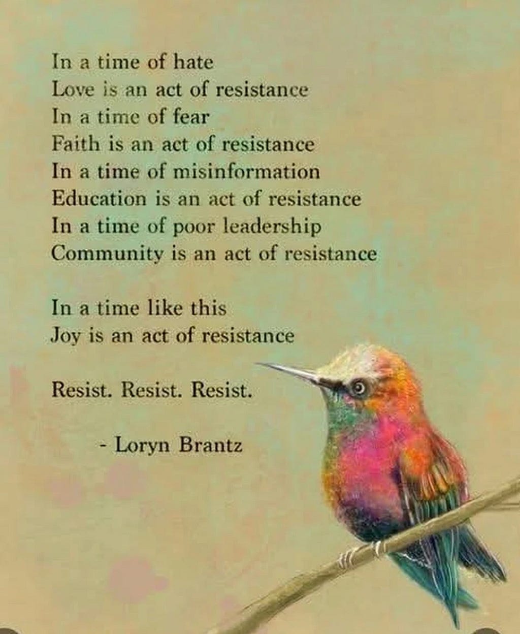 Loryn Brantz poem