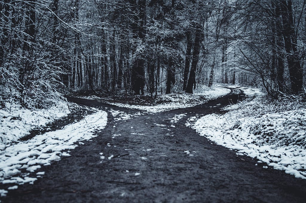 Two roads diverging in a snowy forest, meant to be evocative of Robert Frost’s poem “The Road Not Taken”