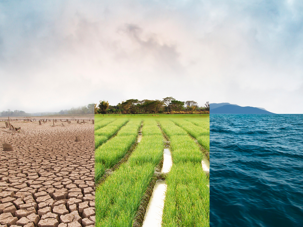 A composite image showing three different environmental scenes: a dry, cracked earth landscape on the left, a green, lush agricultural field in the middle, and a vast, calm ocean on the right. The image symbolizes various aspects of environmental restoration.