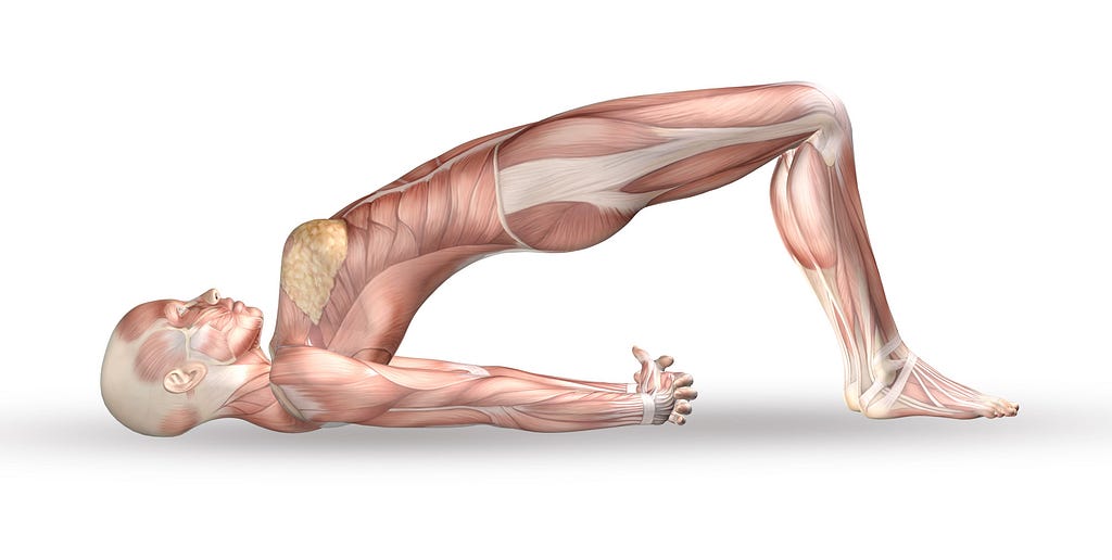 human in yoga pose with muscles showing