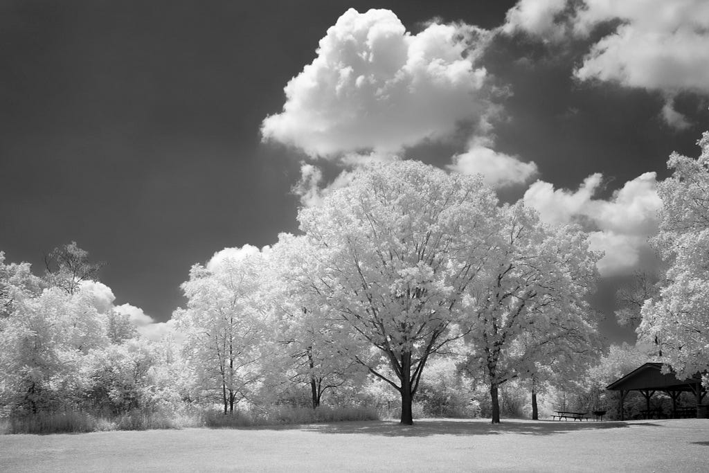black and white image of clouds over a mown field in a picnic area