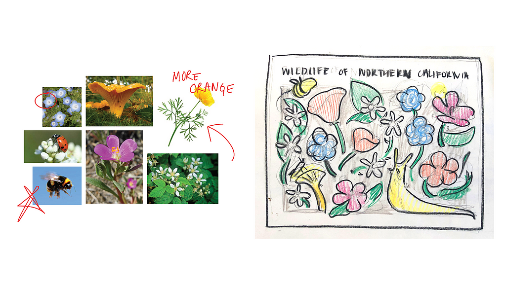 On the left, there’s a collection of photos of plants and insects that served as inspiration for a mural. On the right, there’s an early stage drawing of what the mural will eventually look like, with colorful plants and insects and the phrase “Wildlife of Northern California” written across the top.
